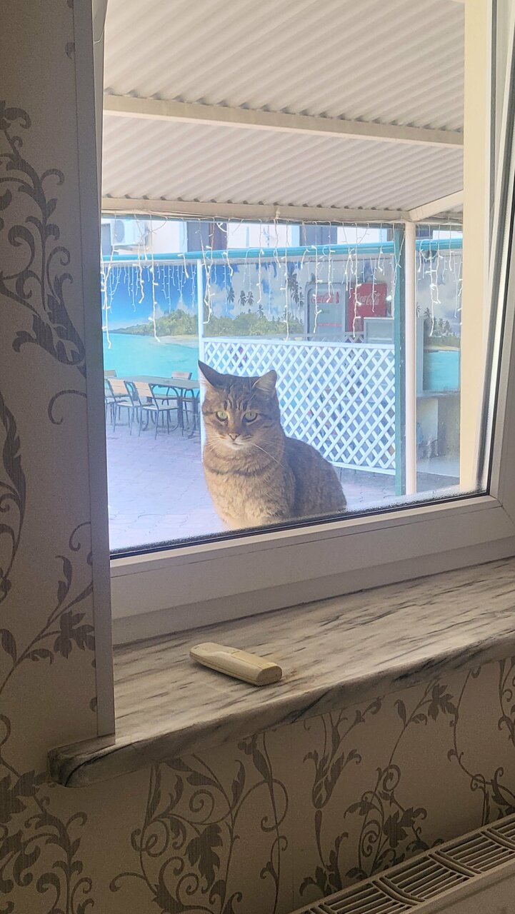 Гостиница Атлас Геленджик-149