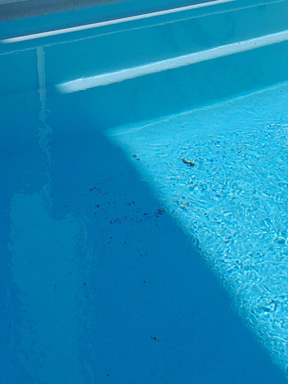 Гостиница Атлас Геленджик-231