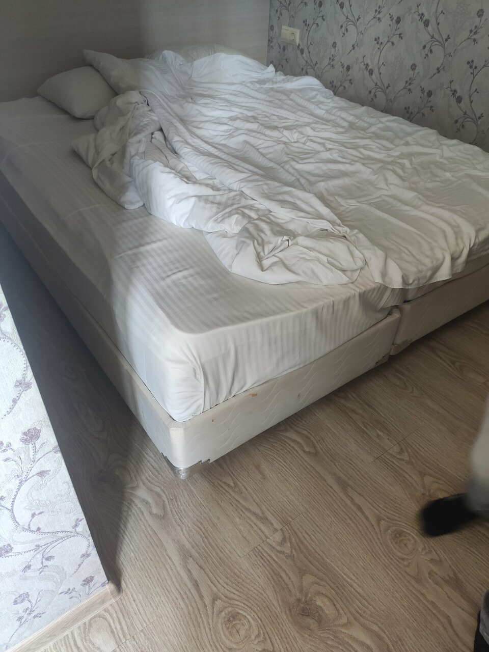 Гостиница Атлас Геленджик-118