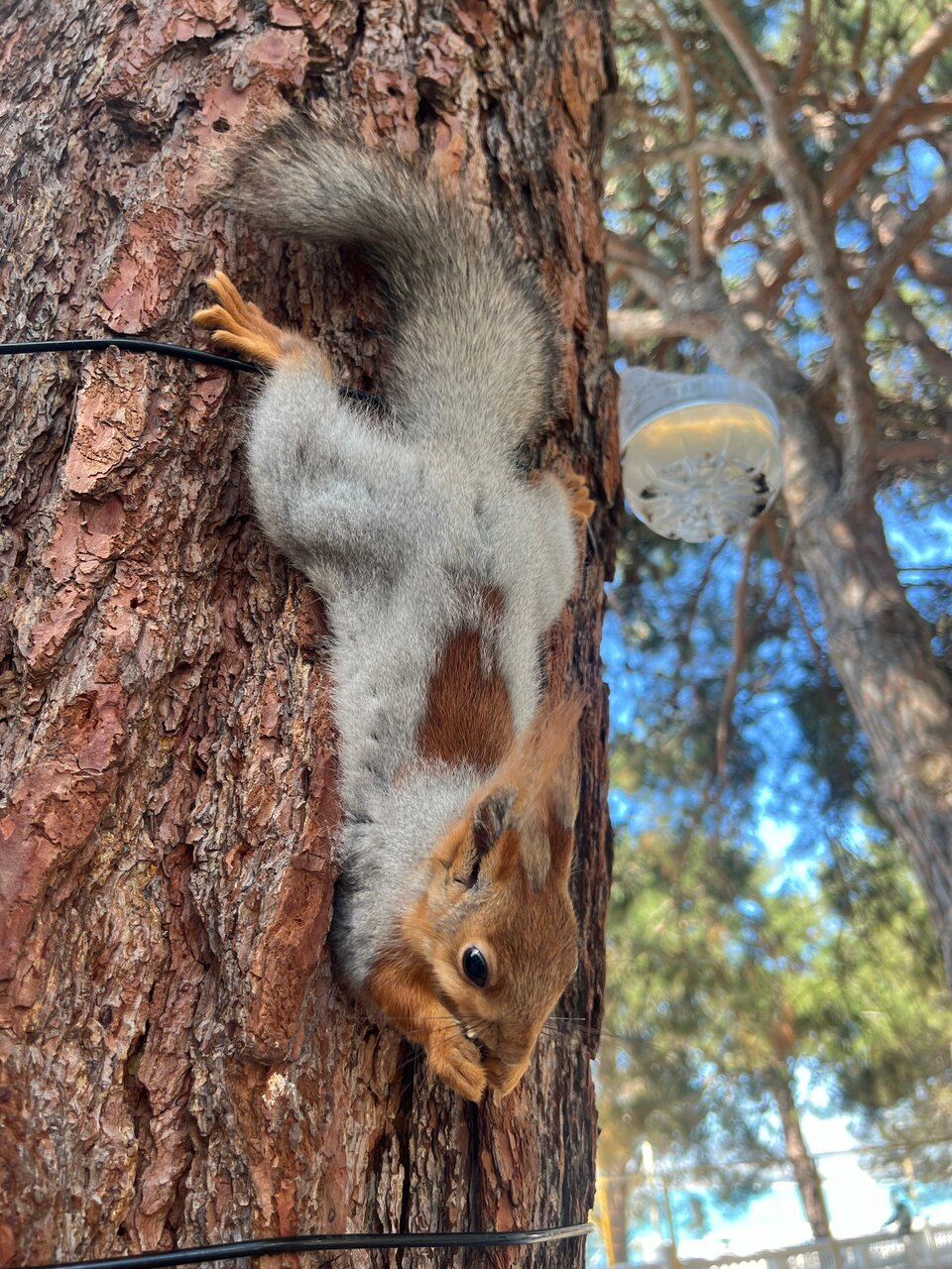 Гостиница Атлас Геленджик-41