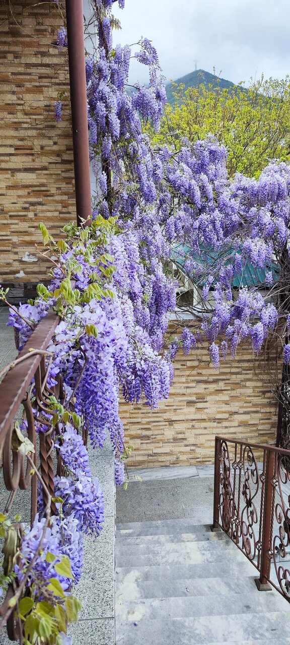 Гостиница Атлас Геленджик-40