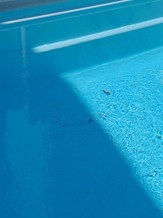 Гостиница Атлас Геленджик-230