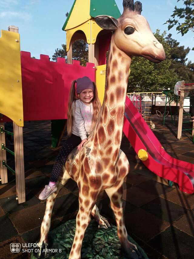 Гостиница Атлас Геленджик-53