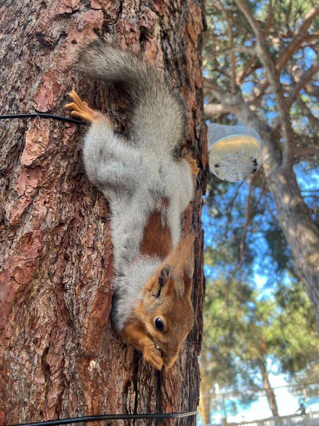 Гостиница Атлас Геленджик-40