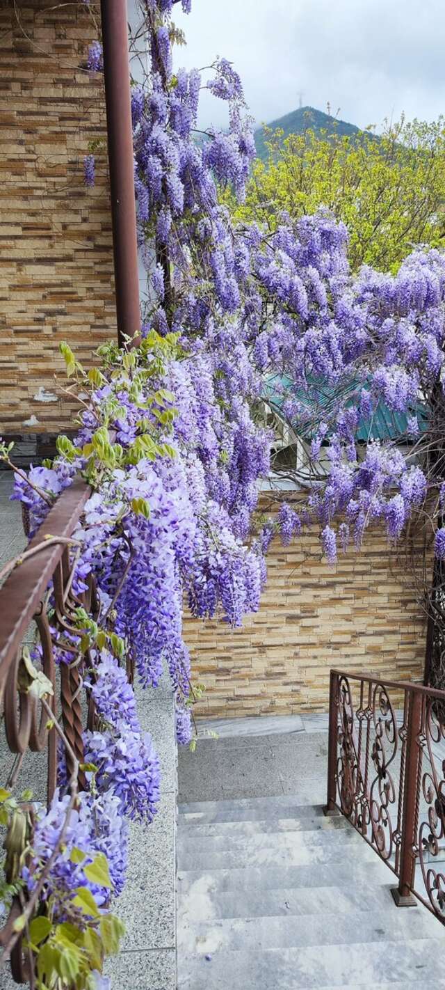 Гостиница Атлас Геленджик-39